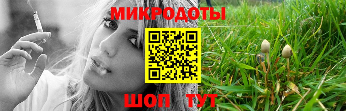 Тайшет  Галлюциногенные грибы мицелий  Вход с VPN 